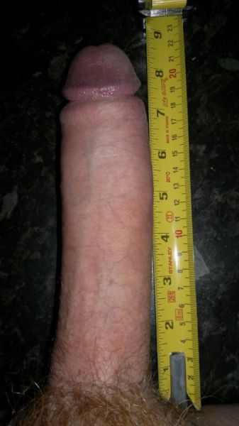 average testicle size in inches