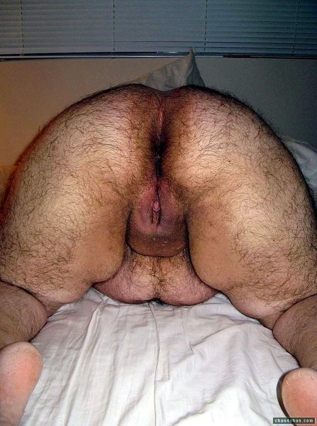 naked very hairy pussy