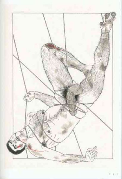 nude female bondage art