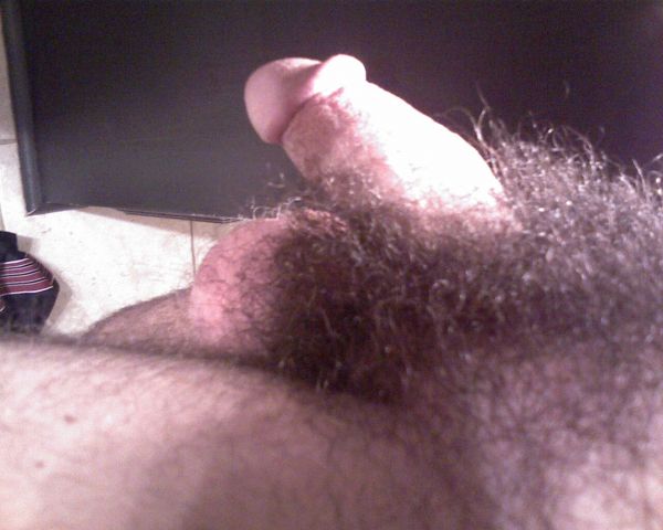 hairy guy ass cock