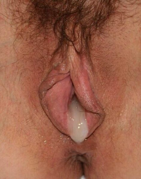 ass pussy close up