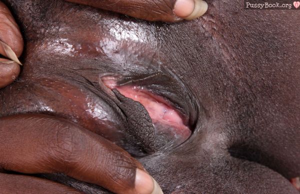 hairy pussy close up