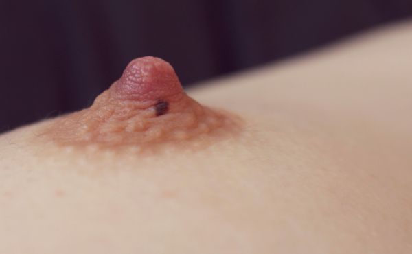 nipples erect puffy