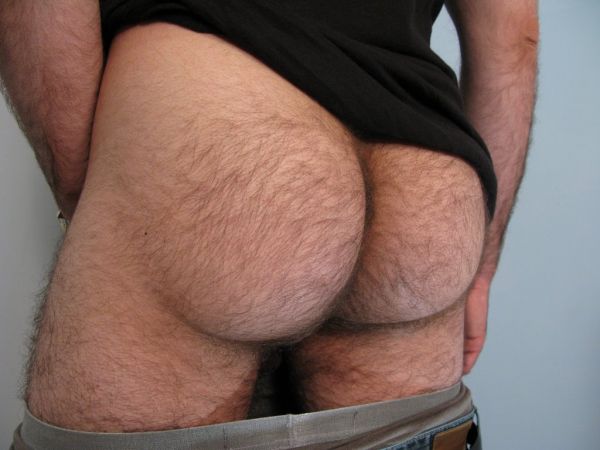hairy men with hairy asses