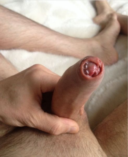 hung dick fucking