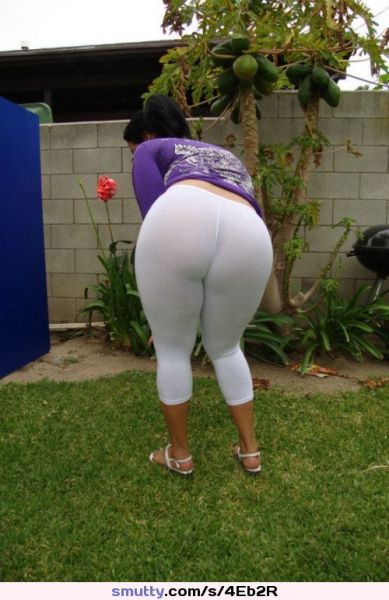 ass big ass porn