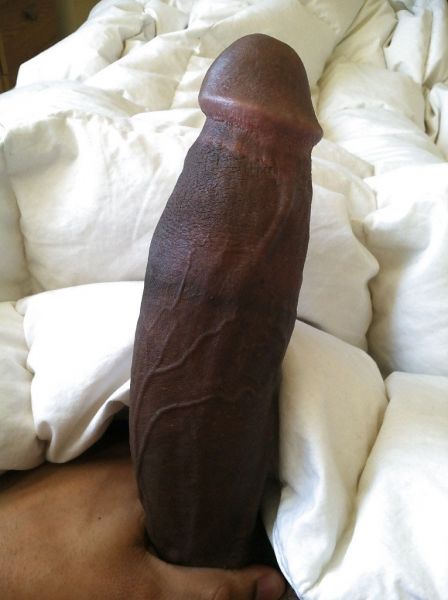 long cock