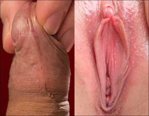 nude women clitoris close up