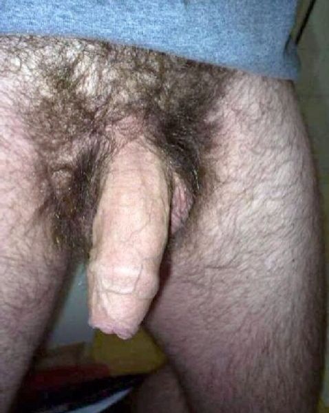 huge cock fucking hairy pussy
