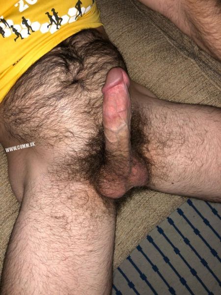 hairy pussy big cocks porn pictures
