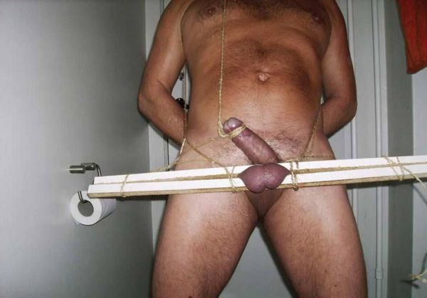 hung shemale penis