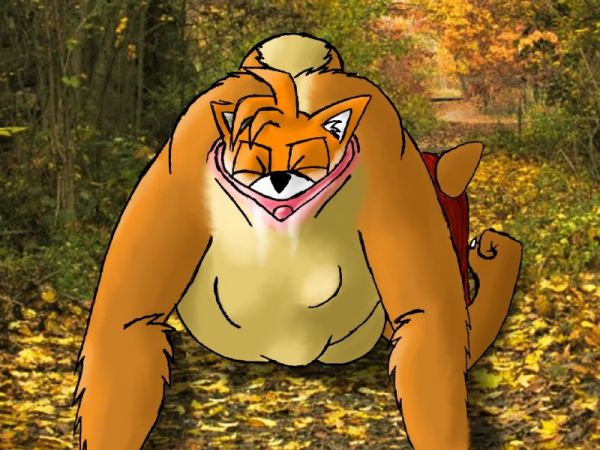 kitty fox sex