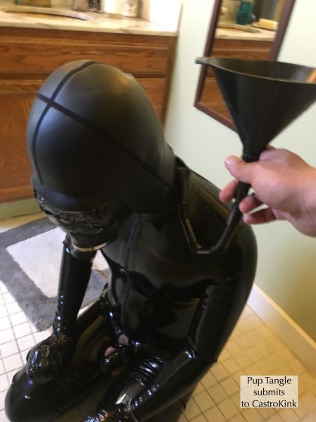 latex bondage together