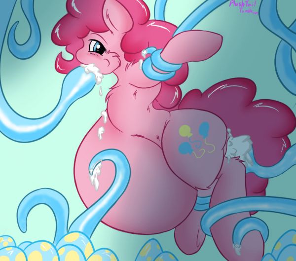 pony belly