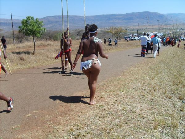 south african reed dance