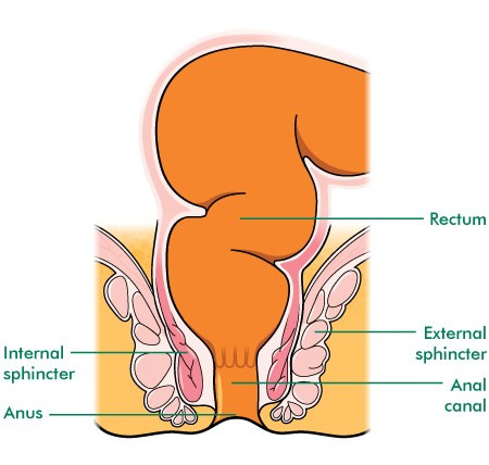 anal sex positions for women