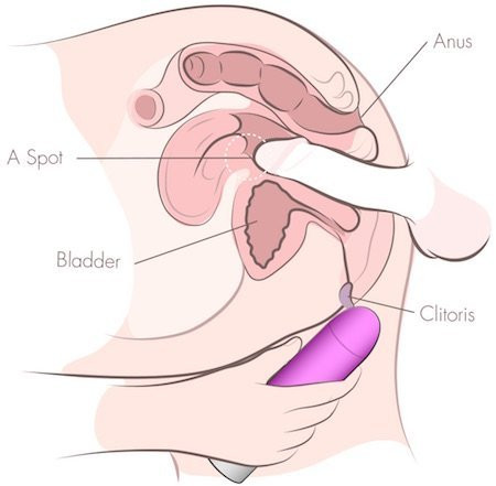 nude couples sex positions