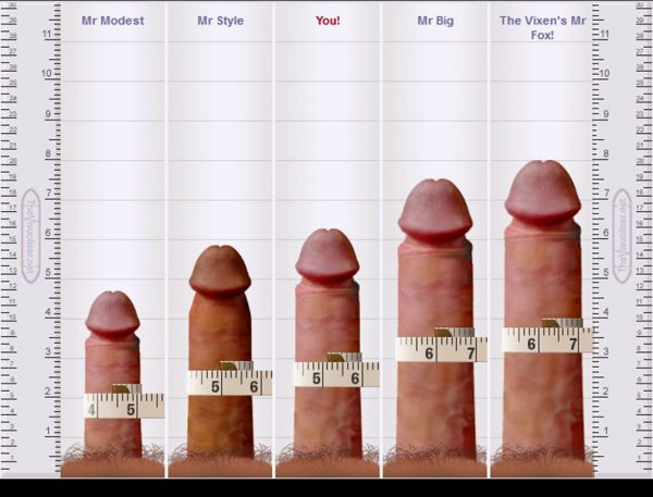 erect penis size