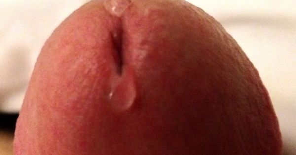 hard cocks cumming