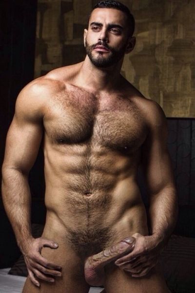 hung hairy muscle men