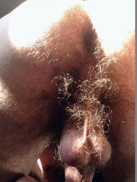 vintage hairy ass men