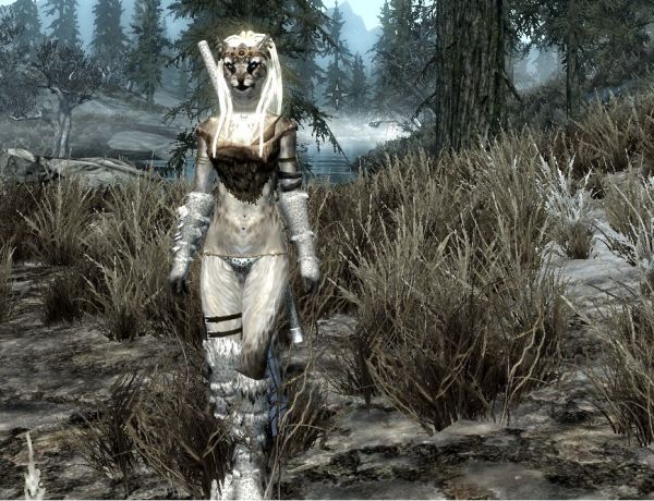 no armor skyrim