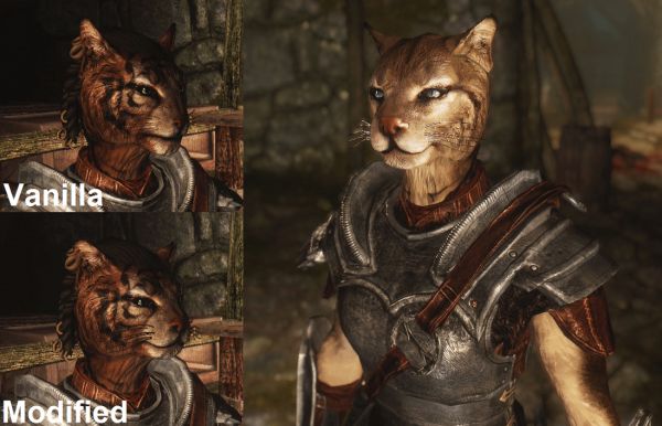 female khajiit armor