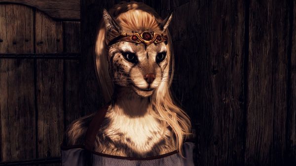 skyrim khajiit romance