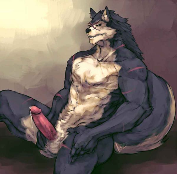 anthro wolf furry drawings traditional