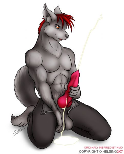 furry fandom wolves