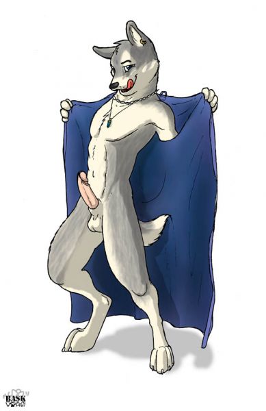 injured male wolf furry