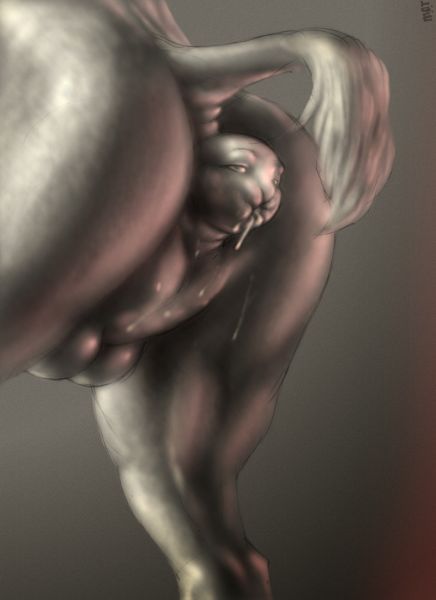 hairy male anus