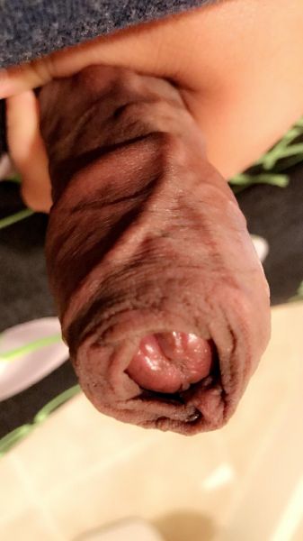 nude vagina close up