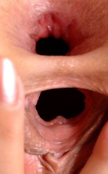 gay gaping ass hole gif
