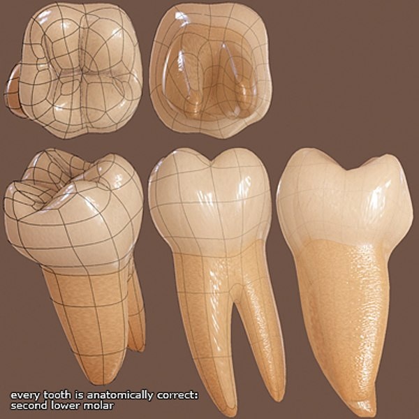 silicone