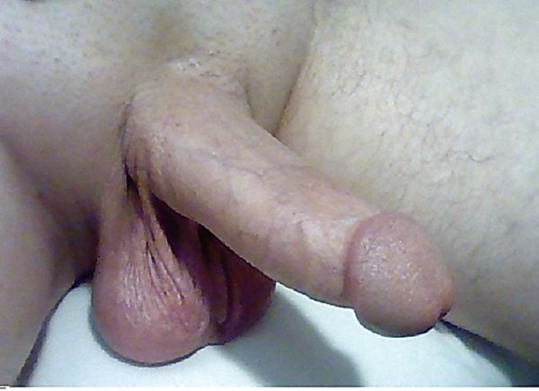 average cock cumshot
