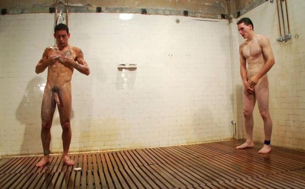 gay xxx