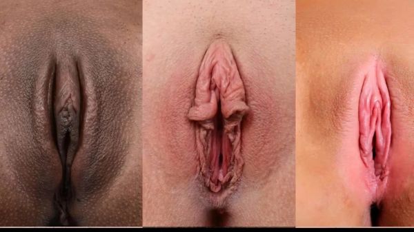 bbw vagina gif