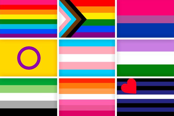 straight men in gay porn