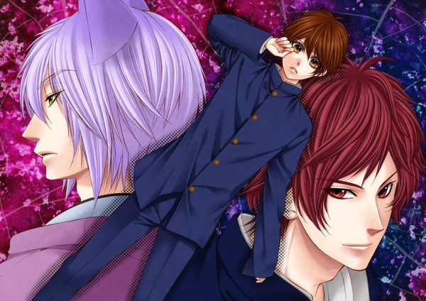 kareshi