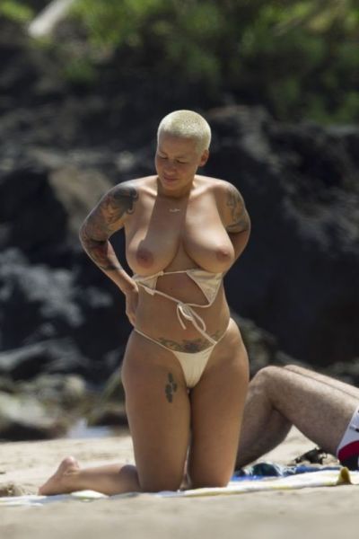 amber rose bush pic
