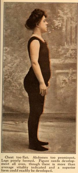 average american woman bust