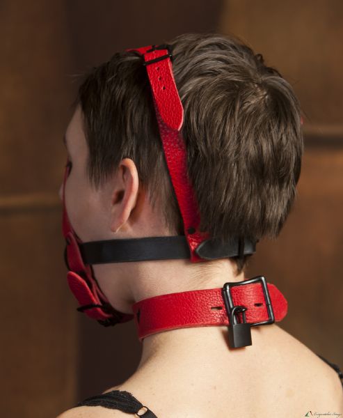 restraint harness