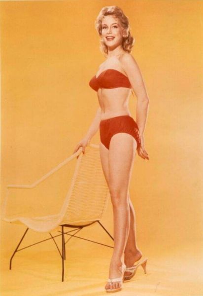 bing barbara eden
