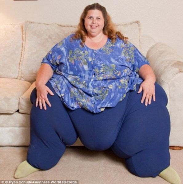 hippo