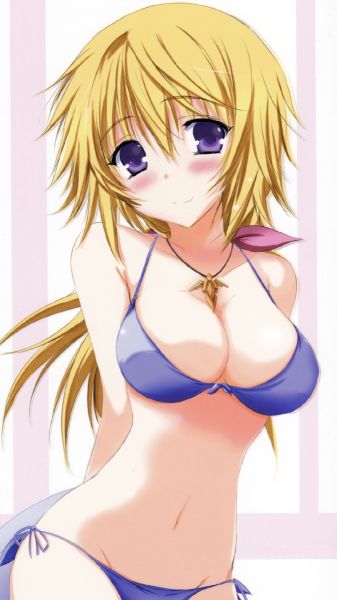 charlotte infinite stratos characters