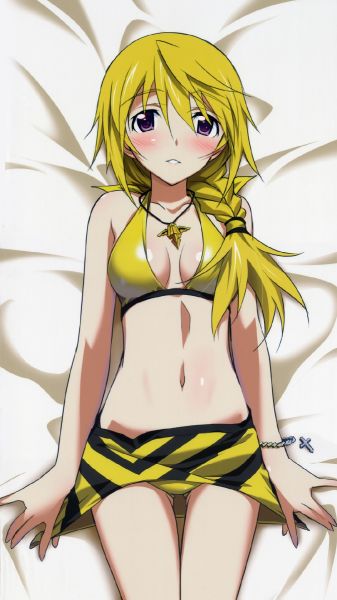 infinite stratos art