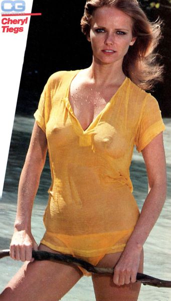 cheryl tiegs fishnet picture