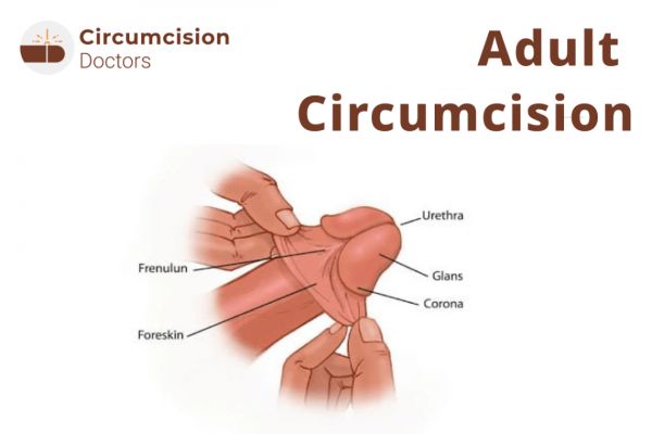 sensitive frenulum