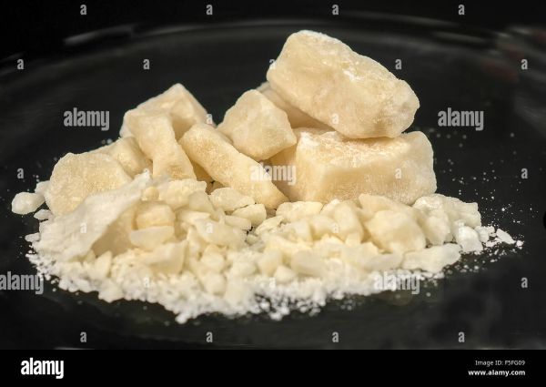 hollywood cocaine parties